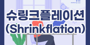 슈링크플레(Shrinkflation)