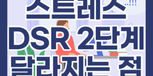 스트레스 DSR 2단계 무엇이 달라지나